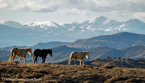 Alegre, Maia and Houdini, La Sal Mountains
