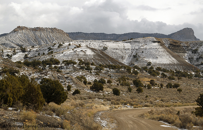 033016brumleytemplebsnow