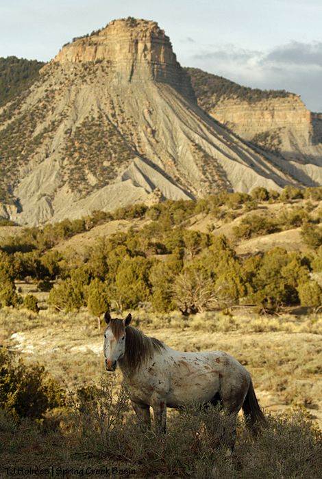 Storm, Temple Butte