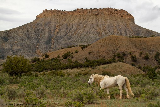 Chrome, Brumley Point