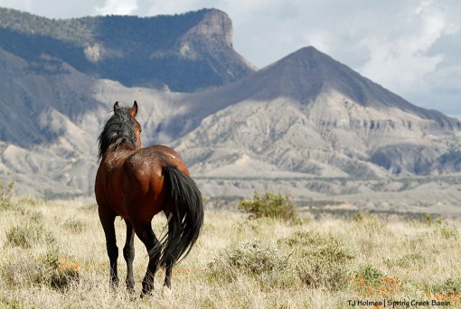 051916mckennatempleb