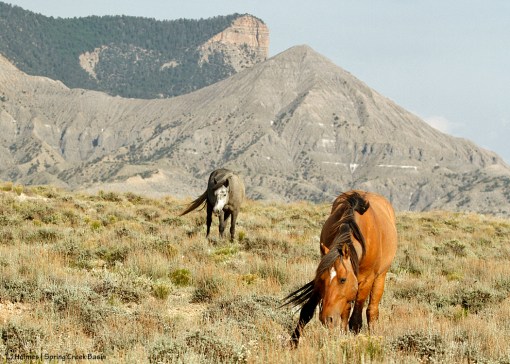 Hollywood and Maia, McKenna Peak and Temple Butte.
