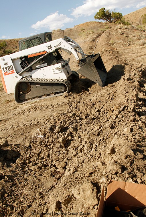 062516davidbobcatcover