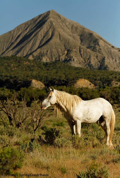 Sundance, McKenna Peak