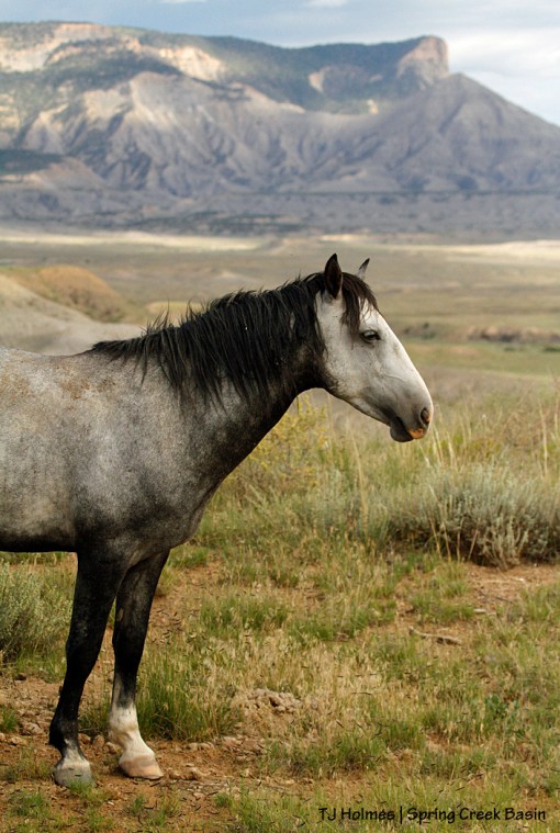 Skywalker, McKenna Peak and Temple Butte