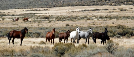 Copper's band in the northern part of Sand Wash Basin.