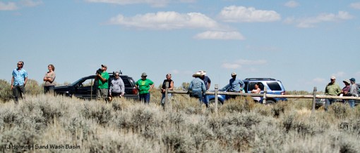 091716horsesighting1