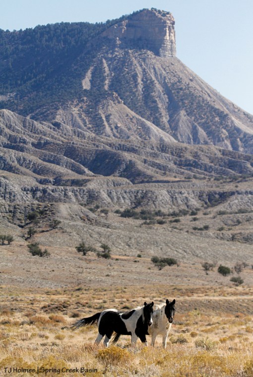 Pintos, Temple Butte