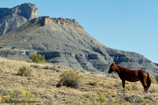 Tesora, Brumley Point and Temple Butte