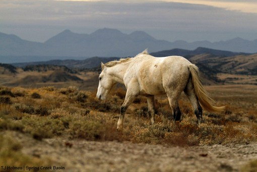 Kwana, La Sal Mountains