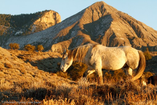 Storm, McKenna Peak and Temple Butte
