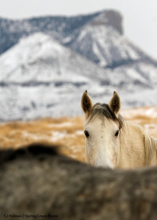 Piedra, McKenna Peak, Temple Butte