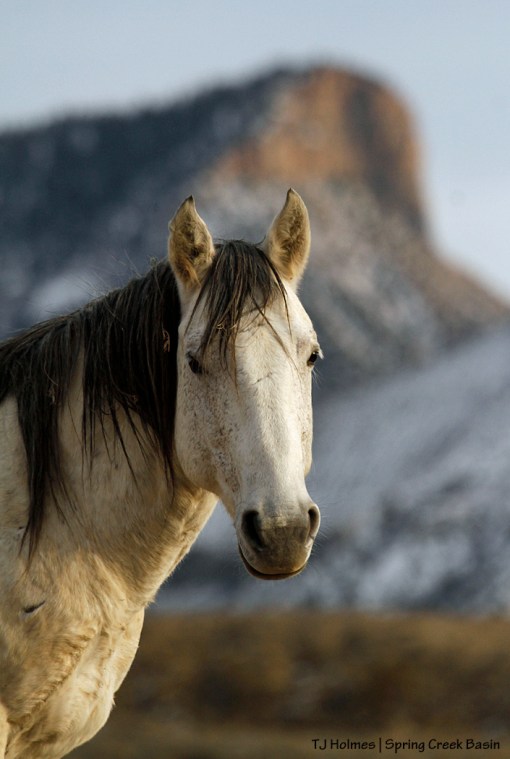 Comanche, Temple Butte