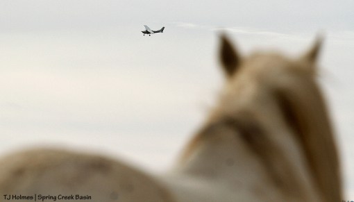 Plane over Spring Creek Basin.
