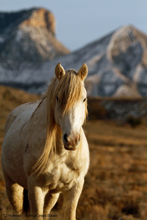 Sundance, McKenna Peak and Temple Butte
