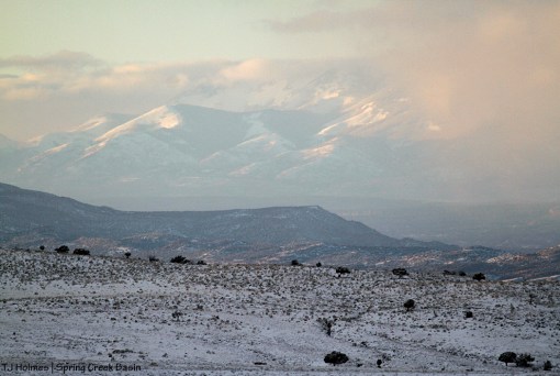 La Sal Mountains from Spring Creek Basin.