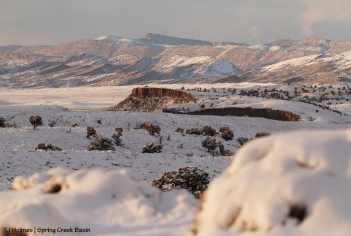 Spring Creek canyon from bachelor ridge in Spring Creek Basin.