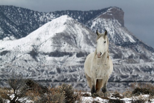 Kwana, McKenna Peak and Temple Butte