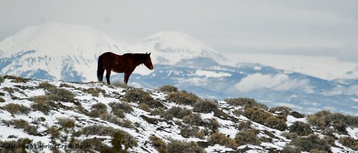 La Sal Mountains