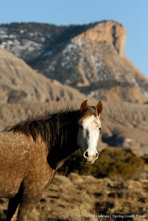 Mariah, Temple Butte, part of McKenna Peak