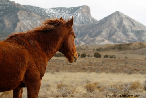 Hayden, McKenna Peak and Temple Butte