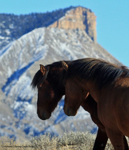 Hollywood and Tenaz, McKenna Peak and Temple Butte