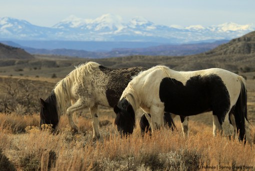 Corazon and Reya, La Sal Mountains