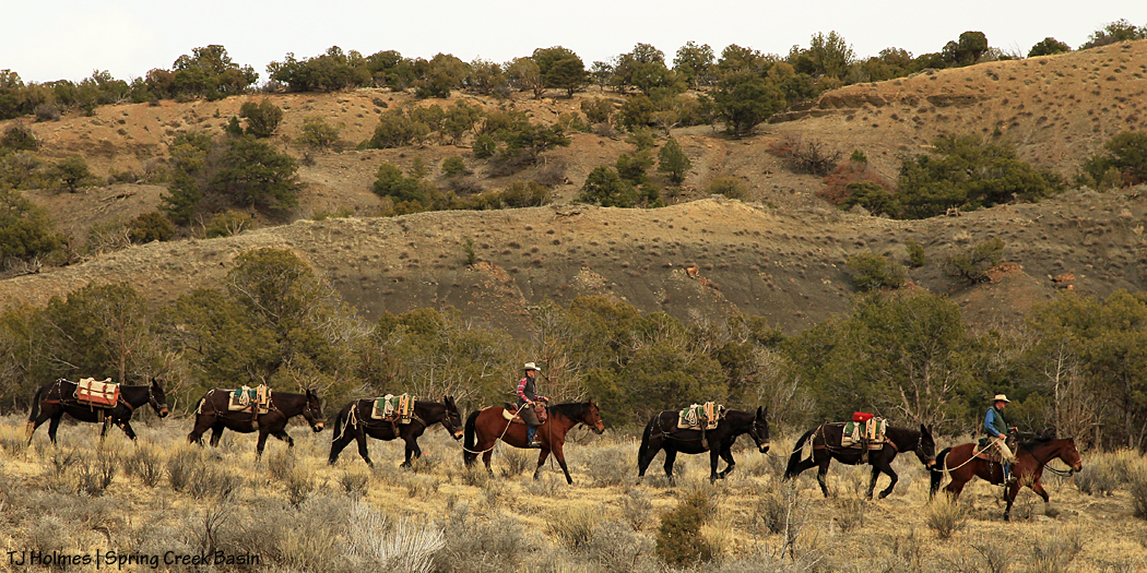 031217glennkatymulestring1