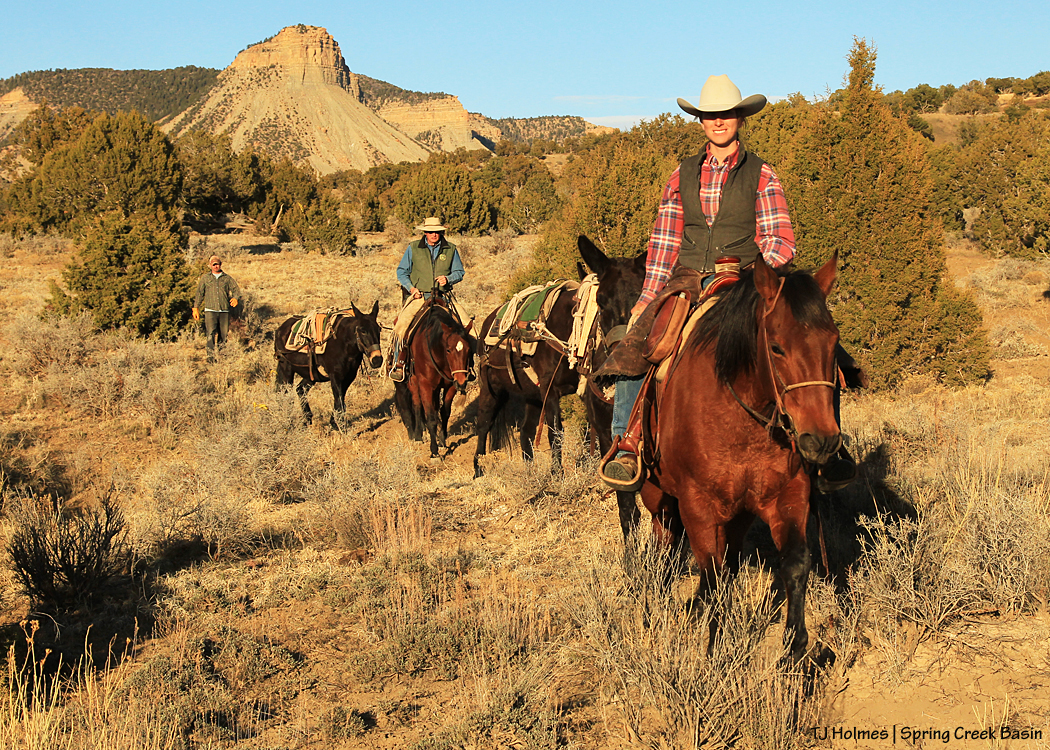 031217katyglennmike1