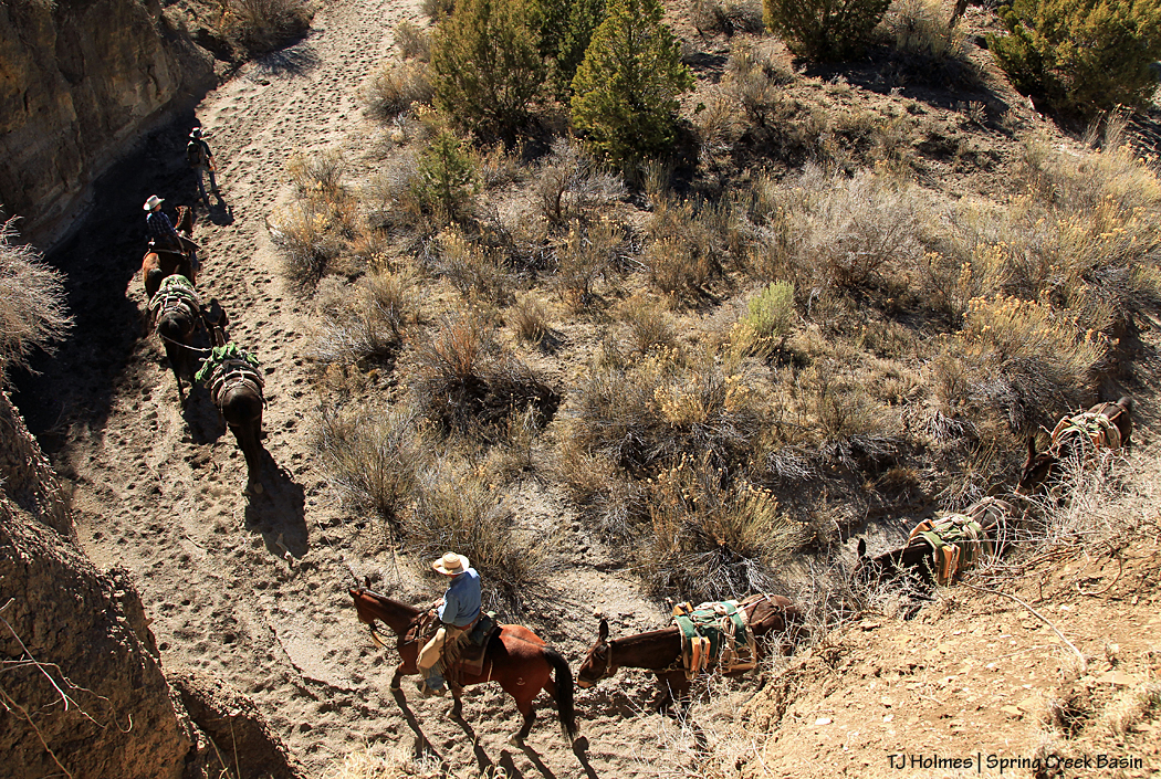 031417katyglennbend1