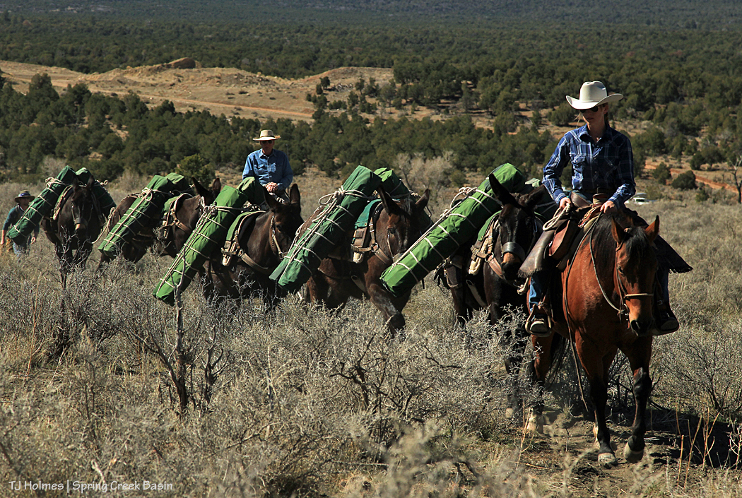 031417katyglennjustin2