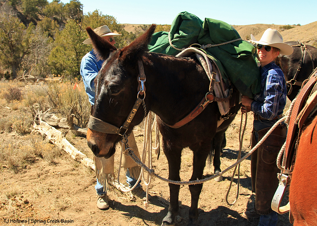 031417katyglennmantiskarla1