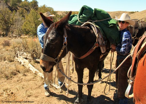 031417katyglennmantiskarla1