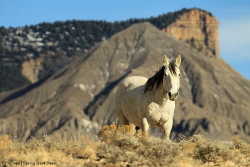 Comanche, McKenna Peak and Temple Butte.