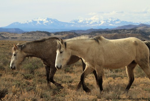 Winona and Mariah; La Sal Mountains.