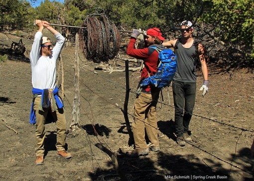 032917wireoverfence1