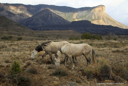 Comanche and Terra, McKenna Peak and Temple Butte