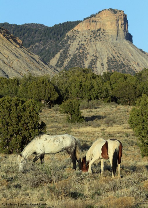 Chipeta and Ty - Temple Butte in the background.