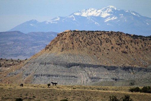 Killian's, Filly Peak and the La Sal Mountains