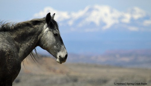 Maia, La Sal Mountains