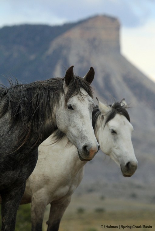 Mariah and Winona, Temple Butte