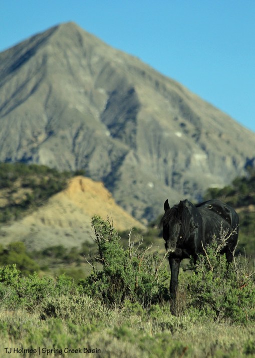 Bounce, McKenna Peak