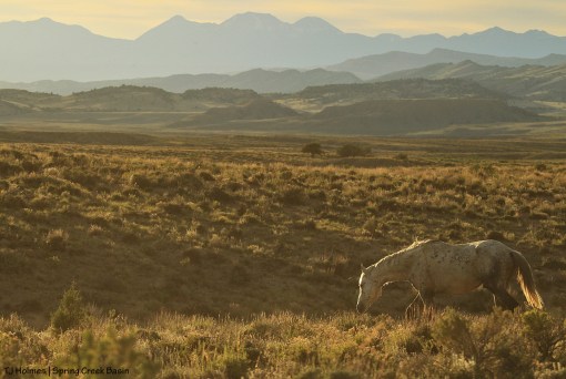 Ty, La Sal Mountains