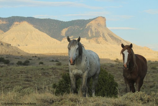 Storm and Gaia, McKenna Peak and Temple Butte