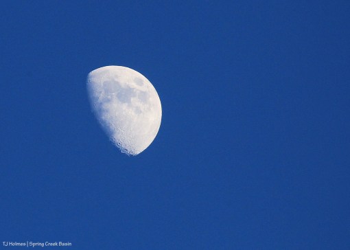 Moon over Spring Creek Basin