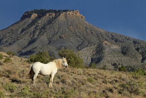 Sundance, Brumley Point