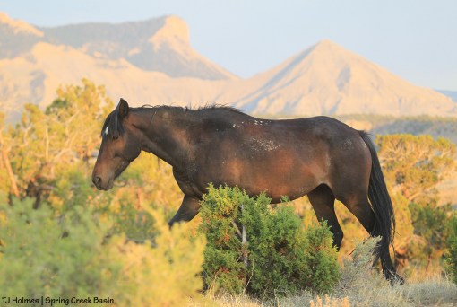 Cassidy Rain, McKenna Peak and Temple Butte