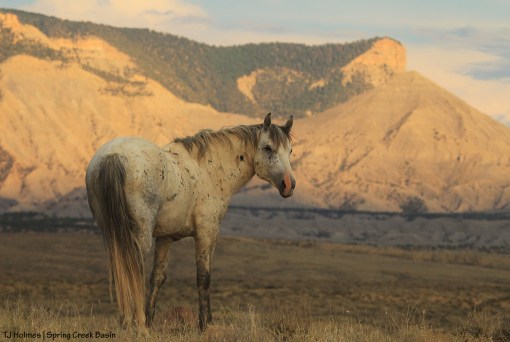 Storm, McKenna Peak and Temple Butte
