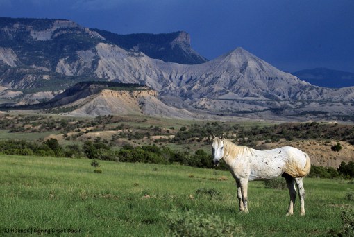 Seven ... Spring Creek Basin ... Knife Edge, McKenna Peak and Temple Butte.