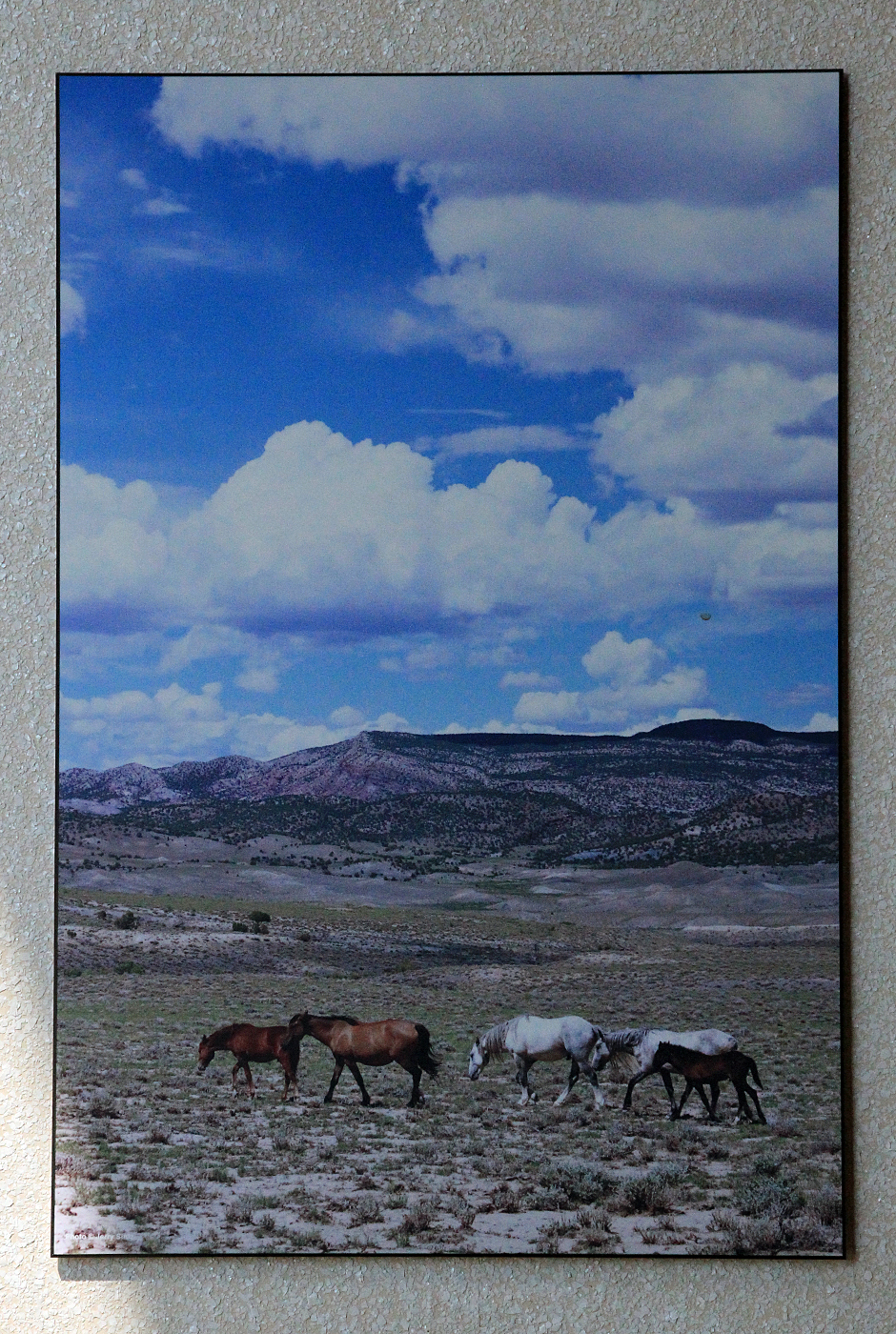 080917SCBphotoBLMoffice1